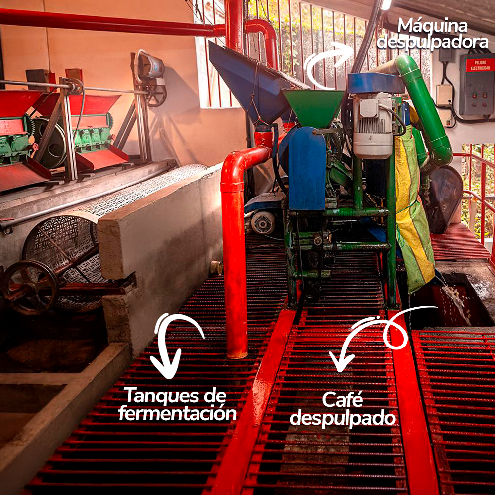 Pulping Machine